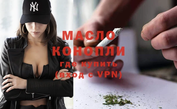индика Богородицк