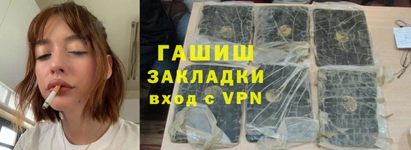 индика Богородицк