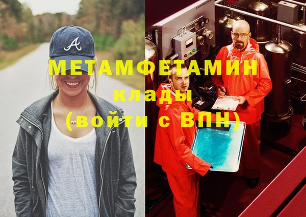 индика Богородицк