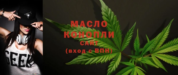 индика Богородицк