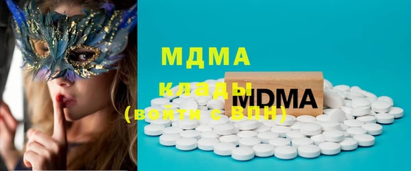 индика Богородицк