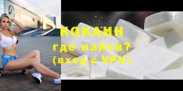 индика Богородицк