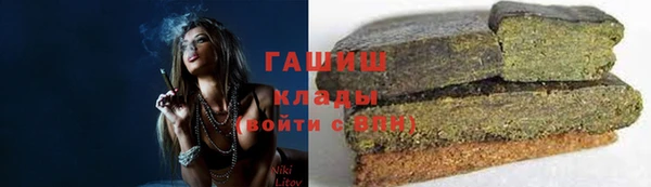 индика Богородицк