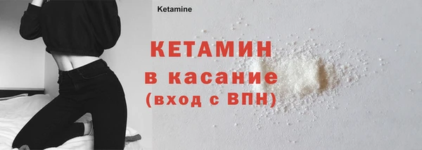 индика Богородицк