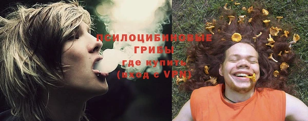 винт Белокуриха