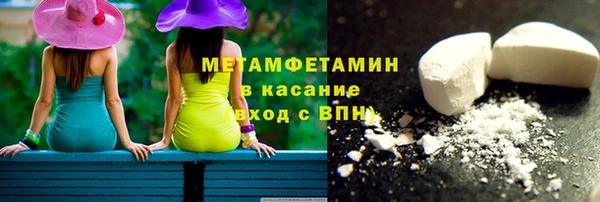 индика Богородицк